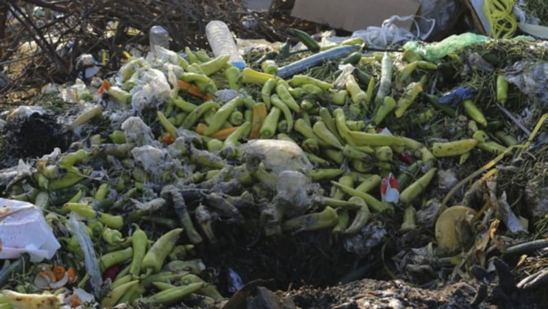 In Österreich sind es rund 60 Kilo Essen, die jährlich im Abfall landen. (Bild: ©blond snapper - stock.adobe.com)