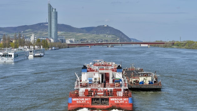Güterverkehr auf der Donau (Bild: APA/HERBERT NEUBAUER)