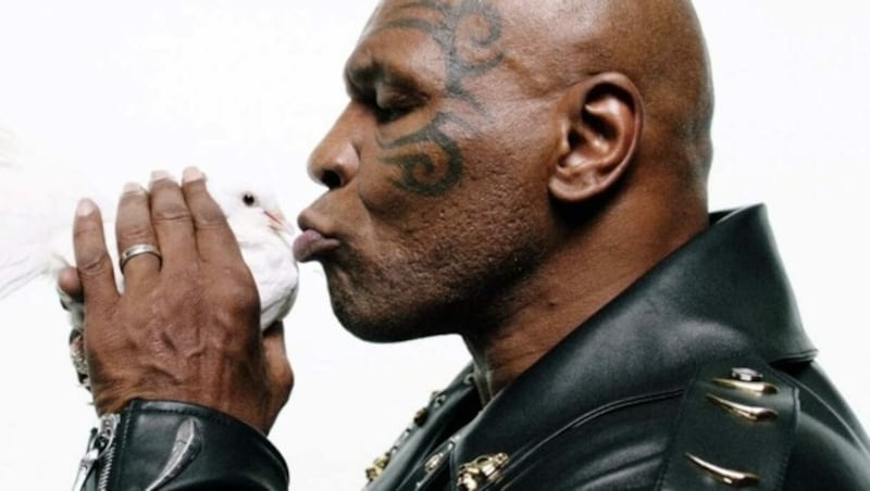 So sanft war Mike Tyson nur selten zu sehen. (Bild: Roberto Cavalli)