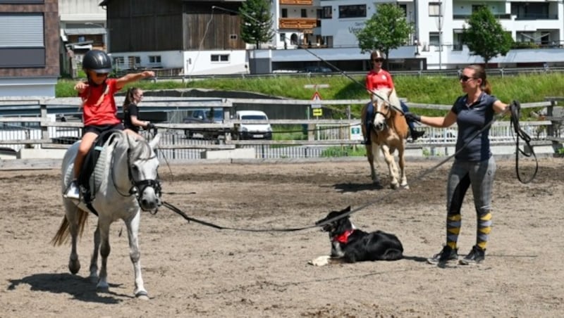 Unter der Führung von Reitlehrerin Jasmin sammelt Noemi auf Pony „Flocke“ erste Reiterfahrung. (Bild: LIEBL Daniel | zeitungsfoto.at)