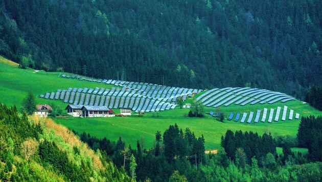 Große Fotovoltaik-Parks auf der grünen Wiese bringen oft Kritiker auf den Plan (Bild: Pail Sepp)