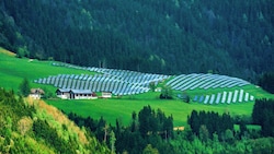 Große Fotovoltaik-Parks auf der grünen Wiese bringen oft Kritiker auf den Plan (Bild: Pail Sepp)