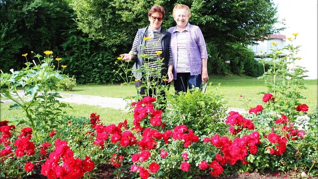 Die Rosenfeen der Seniorenwohnanlage Althofen Barbara und Trude. (Bild: Leserreporter)
