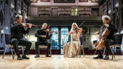 Das Haydn Quartett tritt im August gleich mehrmals im Schloss Esterházy in Eisenstadt auf. (Bild: Lennard Lindner)