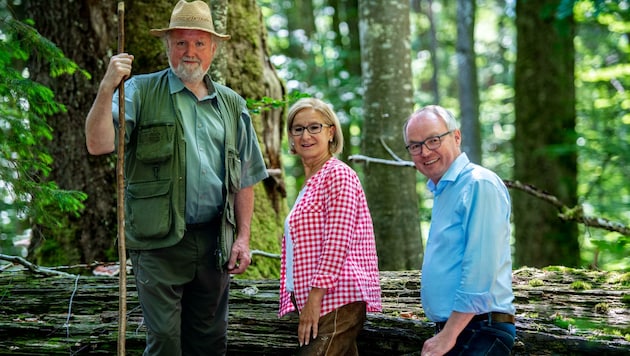 Landeshauptfrau Mikl-Leitner und ihr Stellvertreter Pernkopf mit Parkranger Pekny im Herzen des Urwalds Dürrenstein. (Bild: Imre Antal)