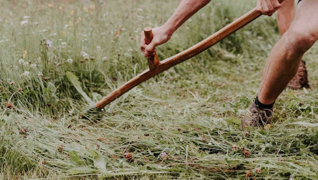 Der Landwirt fiel auf eine harmlose Handsense (Symbolbild). (Bild: Sophie Balber)