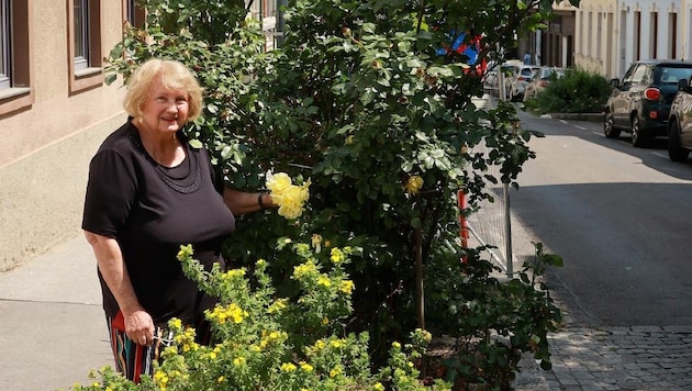 Eva Schöberle schaut seit 20 Jahren auf die schönen Blumen. (Bild: Zwefo)