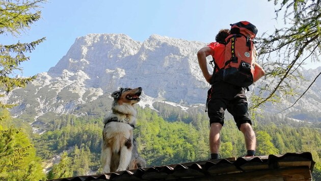 Die 30 Bergretter wurden auch von Hunden unterstützt. (Bild: Bergrettung Steiermark)