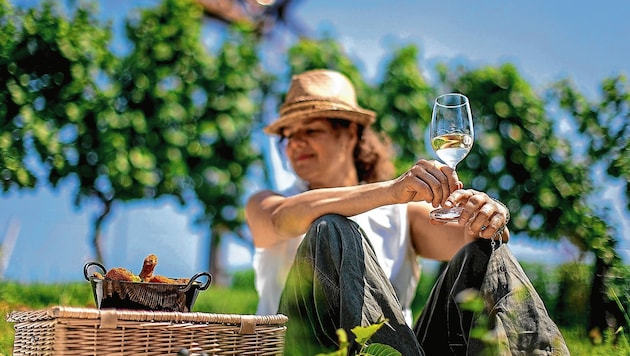 Einheimische wie Touristen lieben das steirische Weinland (Bild: Tom Lamm/Steiermark Tourismus / ikarus.cc)