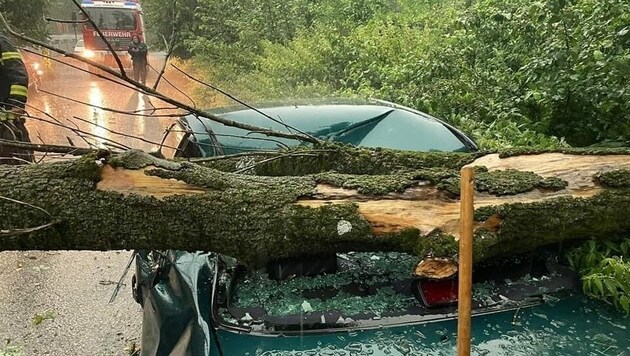 Bäume stürzten um oder knickten wie in Hörsching, wo ein Auto beschädigt wurde. (Bild: FF Hörsching)