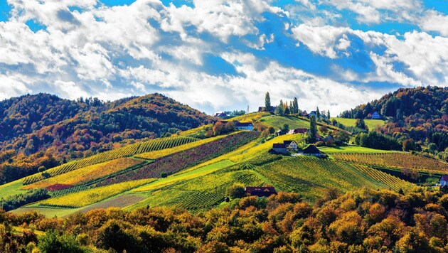 Was für eine prachtvolle Landschaft, die Urlauber und Gäste lieben, aber: Quo vadis, wunderschöne Südsteiermark? (Bild: Steiermark Tourismus/Schiffer)
