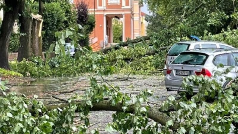 In Reggiolo hat der Wind zahlreiche Bäume umstürzen lassen. (Bild: Centro Meteo Emilia Romagna)