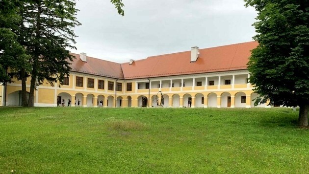 Dem historischen Park beim Schloss Jormannsdorf könnte vielleicht die Rodung drohen. (Bild: Schulter Christian)