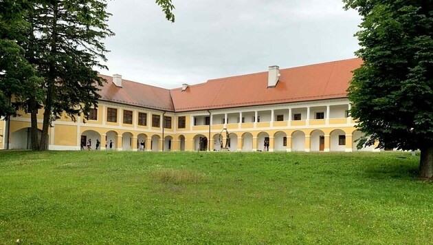 Dem historischen Park beim Schloss Jormannsdorf könnte vielleicht die Rodung drohen. (Bild: Schulter Christian)