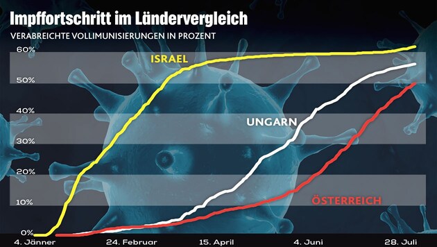 Der Impffortschritt im Ländervergleich (Bild: stock.adobe.com, Krone KREATIV, Quelle: Our world in Data)