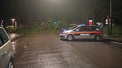 Am Grazer Hasnerplatz stürzte ein Baum auf ein Auto und zerstörte zudem eine Stromleitung. (Bild: Jakob Traby)