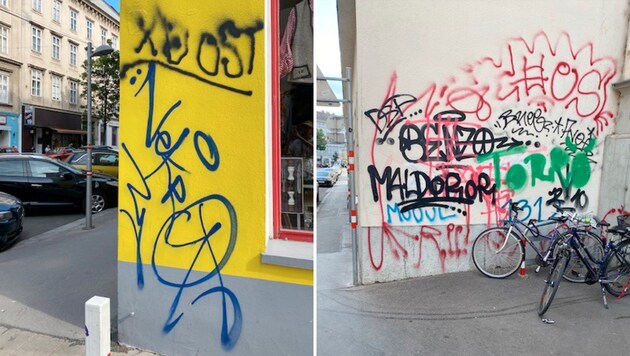 60 neue illegale Graffiti wurden von einer Anrainerin in einem Umkreis von wenigen Metern entdeckt binnen zwei Wochen. (Bild: zVg,Krone Kreativ)