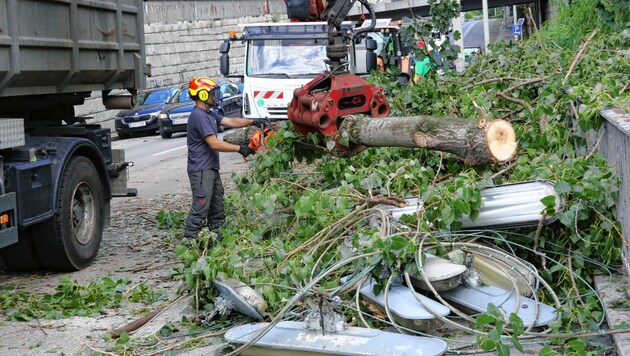 Am Lendkai fielen zahlreiche Bäume auf die Straße und den Mur-Radweg. Verletzt wurde zum Glück niemand. (Bild: Christian Jauschowetz)