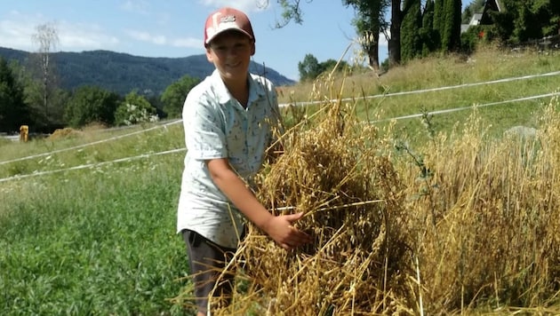 Der elfjährige Benedikt möchte gern Bauer werden. (Bild: zVg)