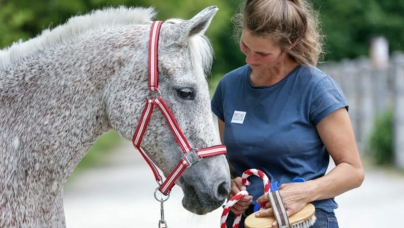 Hofleiterin Juliane von Crailsheim mit Araberstute Valewska (Bild: Österreichischer Tierschutzverein)