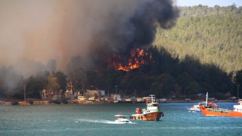 Feuer wüten in der Ferienregion Bodrum (Bild: IHA)