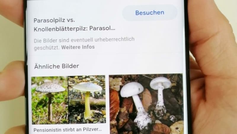 Der Fachmann rät, digitale Informationsquellen mit Vorsicht zu genießen (Bild: Christian Forcher)