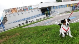 Auf dem Grundstück des Hallenbads in Klagenfurt soll ein Wohnpark entstehen.