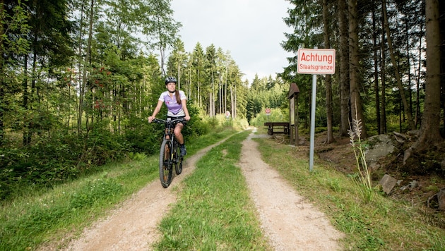 Auf dem Iron Curtain Trail erkundet man Zeitgeschichte sportlich. (Bild: Waldviertel Tourismus/Kerschbaum)