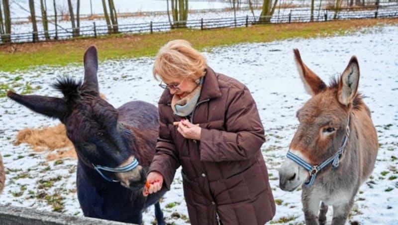 Der Himmel schickte ihr eine Tierärztin, sagt sie, die dort das „Renate Holm Reha-und Tierschutzzentrum“ eröffnen will. (Bild: Starpix/ Alexander TUMA)