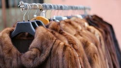 Wer einen Pelz (Symbolbild) verkaufen wollte, musste in der Regel eine Reinigungsgebühr an das „Auktionshaus“ zahlen. (Bild: ©ChiccoDodiFC - stock.adobe.com)