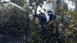Feuerwehrleute im Norden Athens (Bild: AP Photo/Michael Varaklas)
