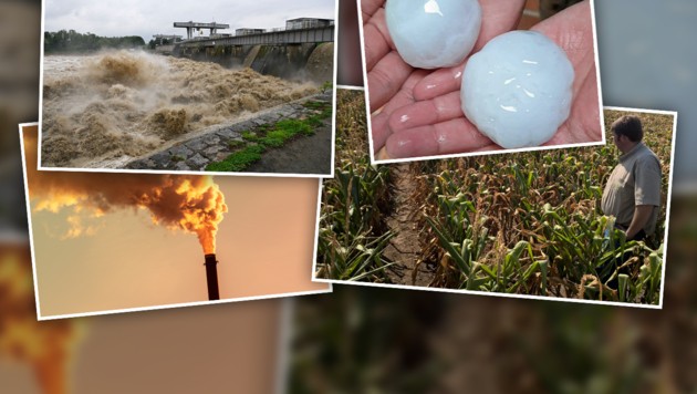 Auswirkungen des Wandels lassen sich kaum negieren. Die Natur vermittelt es sehr deutlich. (Bild: Leserreporterin Sabrina M.; APA/Manfred Fesl; ÖHV, stock.adobe.com, Krone KREATIV)