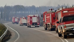 Ein Feuerwehr-Konvoi im Westen Griechenlands (Bild: AP)