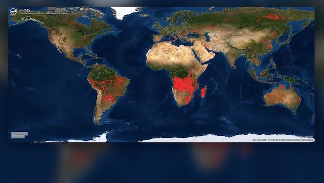 Einen Überblick über die weltweiten Waldbrände bietet die „Fire Map“ der NASA. (Bild: NASA, Krone KREATIV)