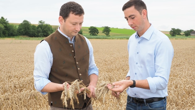 Sorgenvoller Blick über die Felder – EU-Mandatar und Landwirt Bernhuber (re.) sowie Bauernbund-Direktor Paul Nemecek. (Bild: Gabriele Moser)