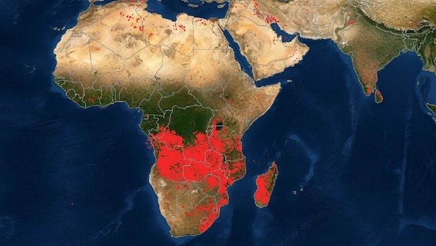 In weiten Teilen Afrikas brennt es - offenbar der am heftigsten betroffene Kontinent. (Bild: NASA)