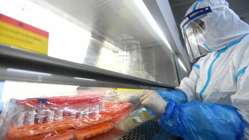 Ein Labormitarbeiter bei der Auswertung von PCR-Tests in Wuhan (Bild: APA/AFP/STR)