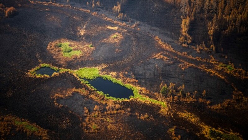 Eine abgebrannte Fläche in der Nähe von Jakutsk. (Bild: AFP)