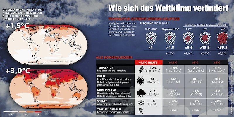 (Bild: Krone Kreativ; stock.adobe.com)