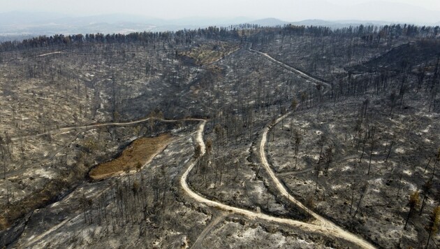 Viele Wälder in Griechenland sind verbrannt. (Bild: AP)