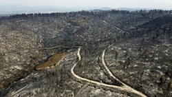 Viele Wälder in Griechenland sind verbrannt. (Bild: AP)