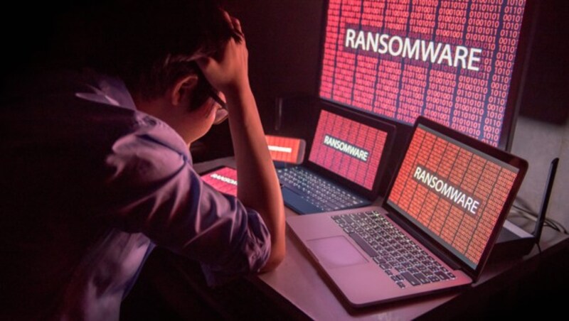 Wenn Ransomware zuschlägt, werden wichtige Daten verschlüsselt und Kriminelle fordern Lösegeld. (Bild: ©zephyr_p - stock.adobe.com)