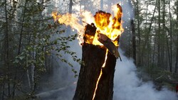 Besonders heftig wüten die Waldbrände in der Teilrepublik Sacha weit im Osten Russlands. (Bild: AP)