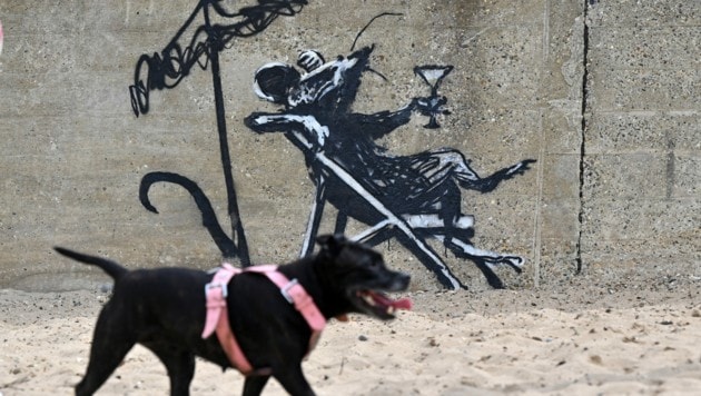 In Lowestoft an der Ostküste Englands prangt dieses Graffiti von Banksy an einer Mauer. (Bild: APA/AFP/JUSTIN TALLIS)
