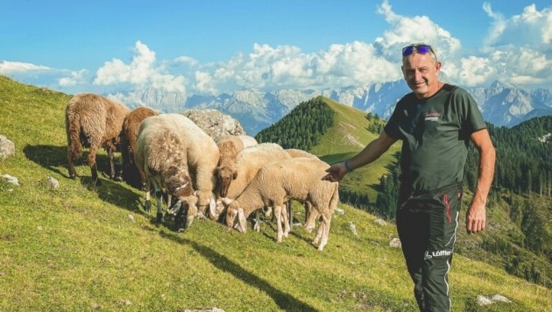 Norbert Mörtl bei Schafen auf der Feistritzer Alm (Bild: Wallner Hannes)