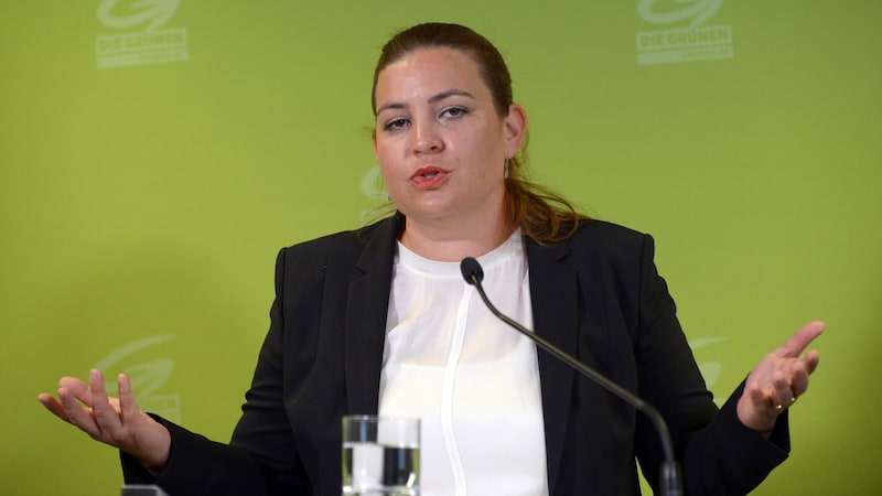 Die Grüne Abgeordnete Nina Tomaselli (Bild: APA/HERBERT PFARRHOFER)