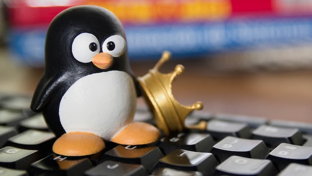 Pinguin "Tux" ist das Maskottchen der Linux-Community. (Bild: stock.adobe.com)