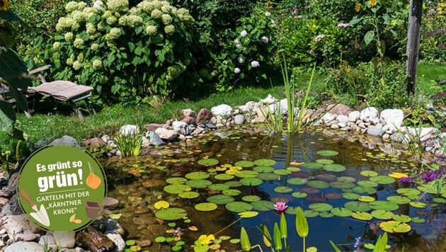 Der Garten von Familie Reiner-Rajakowitsch ist an Biodiversität und ungezügelter Pflanzenvielfalt kaum zu überbieten. (Bild: zVg)