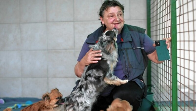 Frau Schandl von der gleichnamigen Tierpension in Draßmarkt wird die Hunde aufpäppeln. (Bild: Gerhard Bartel)