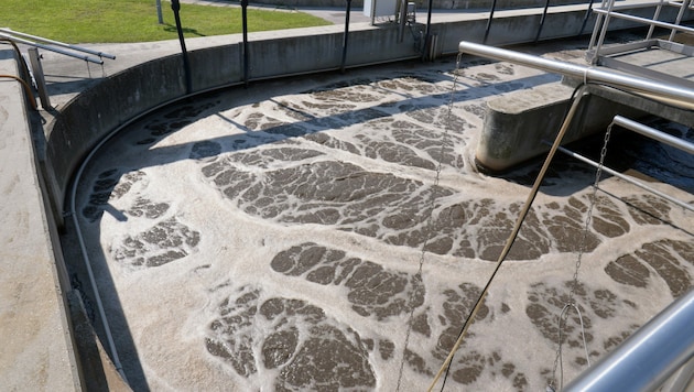 Das Abwasser vom Kläranlagen wird analysiert. (Symbolfoto) (Bild: APA/Herbert Pfarrhofer)